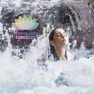 Holistic Soothing: Hydrotherapy, Massages and Meditation in an Oasis of Beauty and Relaxation - Tranquility Spa Universe