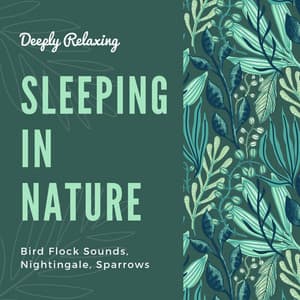 Sleeping in Nature: Bird Flock Sounds, Nightingale, Sparrows, Deeply Relaxing - Paradise Eden