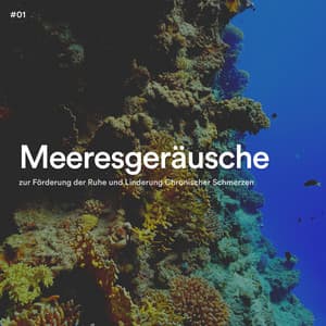 #01 Meeresgeräusche zur Förderung der Ruhe und Linderung Chronischer Schmerzen - Meeresgeräusche