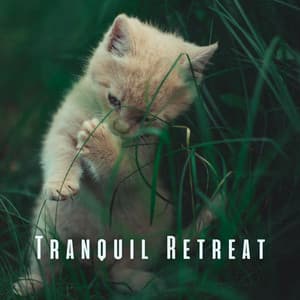 Tranquil Retreat: Meditative Piano for Restful Cat Moments - Lotus Frequencies