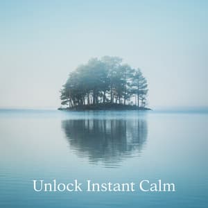 Unlock Instant Calm: Relief from Stress and Anxiety, Detox Negative Emotions - Ultimate New Age Academy