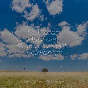 50 Piezas Musicales Profundamente Relajantes - Musica Reiki