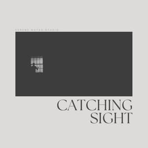 Catching Sight - La mejor musica instrumental