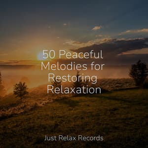 50 Peaceful Melodies for Restoring Relaxation - Deep Sleep Relaxation