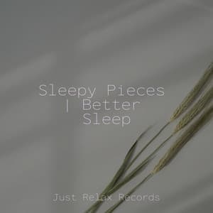 Sleepy Pieces | Better Sleep - Meditation Spa