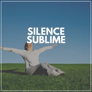 Silence sublime - Detente Spa Musique Collection