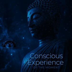 Conscious Experience of the Moment - Mindfullness Meditation World