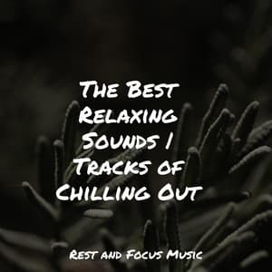 The Best Relaxing Sounds | Tracks of Chilling Out - Sleep Sound Library