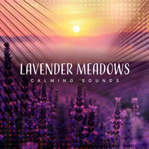 Lavender Meadows - Calming Sounds
