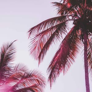 Backdrop for Unwinding Nights - Lo-fi Beats for Sleep