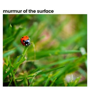 Murmur of the Surface - Sounds Of The Earth