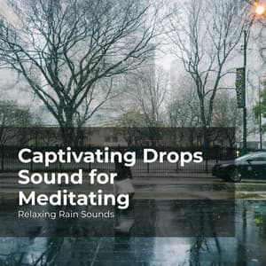Captivating Drops Sound for Meditating - Relaxing Rain Sounds