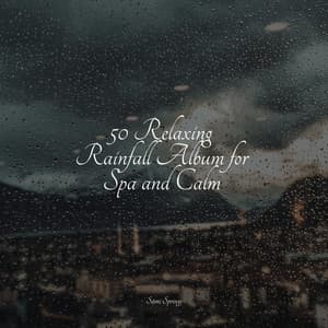 50 Relaxing Rainfall Album for Spa and Calm - Sleep Rain