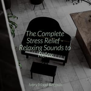 The Complete Stress Relief - Relaxing Sounds to Relax - Ivory Mood