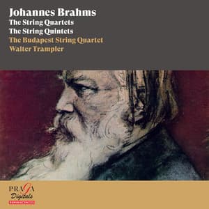Johannes Brahms: The String Quartets & The String Quintets - Johannes Brahms