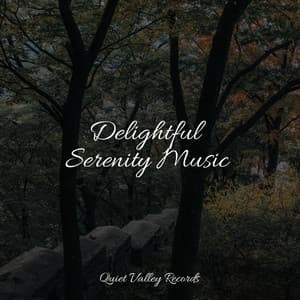 Delightful Serenity Music - Masters of Binaurality