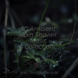 50 Ambient Rain Shower Music Collection - Ocean Waves For Sleep