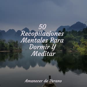 50 Recopilaciones Mentales Para Dormir Y Meditar - Baby Lullaby