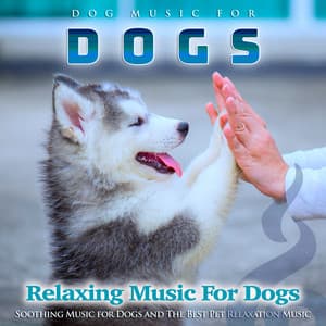 Dog Music For Dogs: Soothing Music for Dogs and The Best Pet Relaxation Music - Dog Music