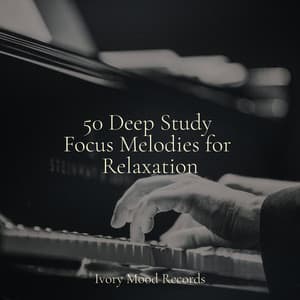 50 Deep Study Focus Melodies for Relaxation - Ivory Mood