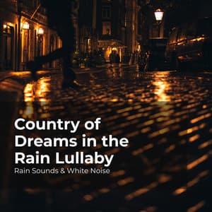 Country of Dreams in the Rain Lullaby - Rain Sounds & White Noise