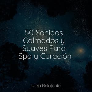 50 Sonidos Calmados y Suaves Para Spa y Curación - Canção de Ninar Bebê