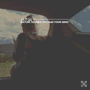 Nature Sounds to Calm Your Mind - Wildlife Sound Recordings