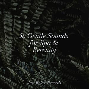 50 Gentle Sounds for Spa & Serenity - Yoga Music