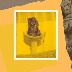 Music for Home Cats - Trumpet and Alto Sax - Cat Music Jukebox