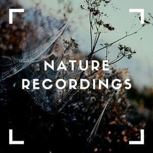 Green Sounds of Nature - Natural Sample Makers