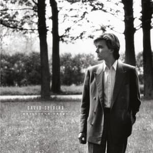 Brilliant Trees - David Sylvian