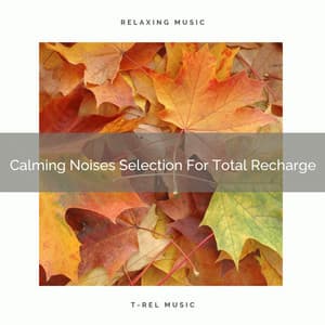 Calming Noises Selection For Total Recharge - Rain Sounds