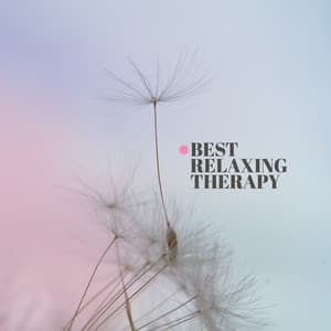 Best Relaxing Therapy: Background Music for Spa, Meditation, Healing Treatments - Spa Music Zone