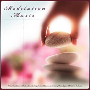 Meditation Music: 1 Hour Meditation and Nature Sounds, Yoga, Ambient Balance and Healing Music, Spa and Music for Wellness - 1 Hour Meditation