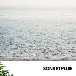 Sons et Pluie: Mélodies du Ciel - Cat Music