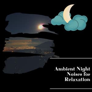 Ambient Night Noises for Relaxation - Night Nature Sounds