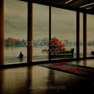 Soothing Sounds to Loop - Sleep Baby Sleep