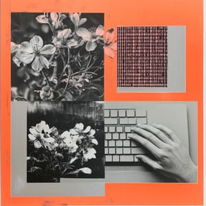 美丽爪子乌托邦 - Rachel Bliss