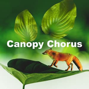 Canopy Chorus - Epic Soundscapes