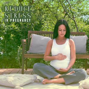 Reduce Stress in Pregnancy: Deep Harmony, Better Sleep, Rest & Relaxation - Soothing Music Specialists