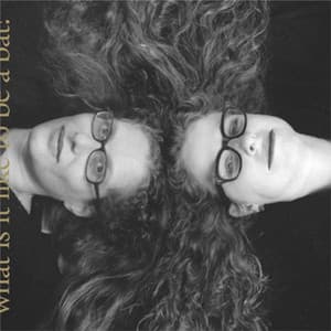 What Is It Like to Be a Bat? - Kitty Brazelton