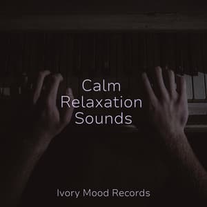 Calm Relaxation Sounds - Ivory Mood