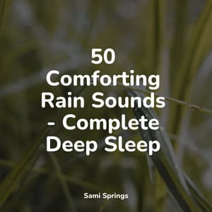 50 Comforting Rain Sounds - Complete Deep Sleep - Rising Higher Meditation