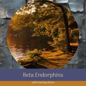 Beta Endorphins with Evening Show - Night Ambience Lovers
