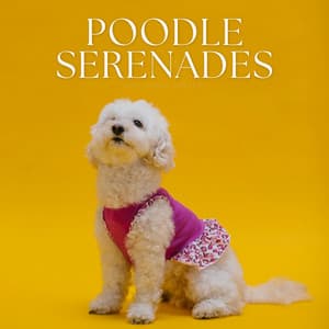 Poodle Serenades - Calming Music For Pets