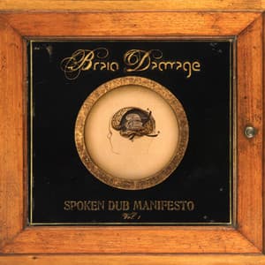 Spoken Dub Manifesto - Brain Damage