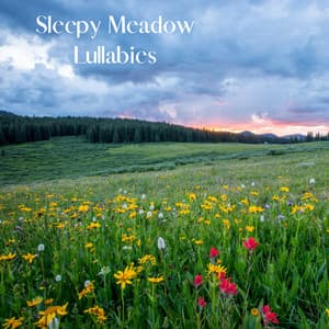Sleepy Meadow Lullabies - Sleeping Music for Babies
