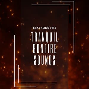 Tranquil Bonfire Sounds - Crackling Fire