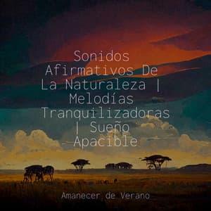 Sonidos Afirmativos De La Naturaleza | Melodías Tranquilizadoras | Sueño Apacible - Bedtime Baby