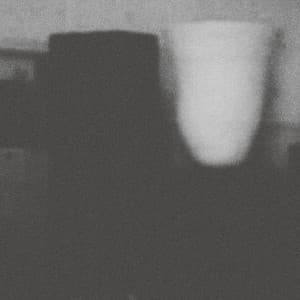 The Prosperity Of Vice, The Misfortune Of Virtue - Merzbow